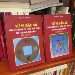 Tử Vi Đẩu Số Giáo Trình Tứ Hóa Phi Tinh Sơ Trung Cơ Bản PDF